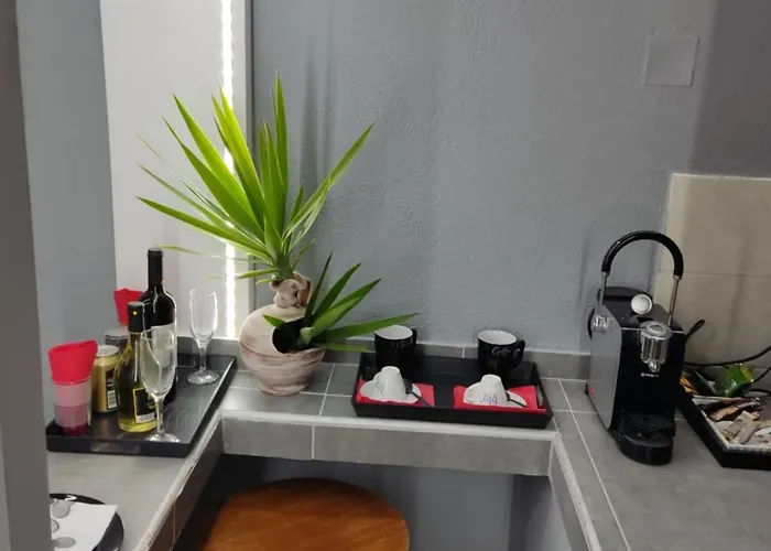 Petite Economy מלון דירות העיירה סקיאתוס